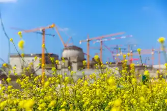 Nükleer Teknoloji: Tarım ve Biyoçeşitliliğin Geleceği mi?